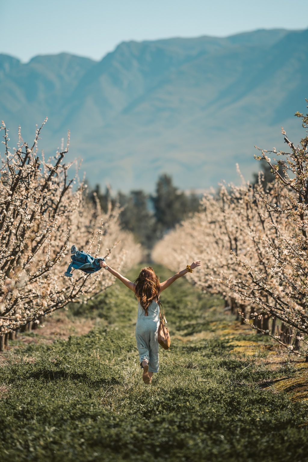 Joie de vivre